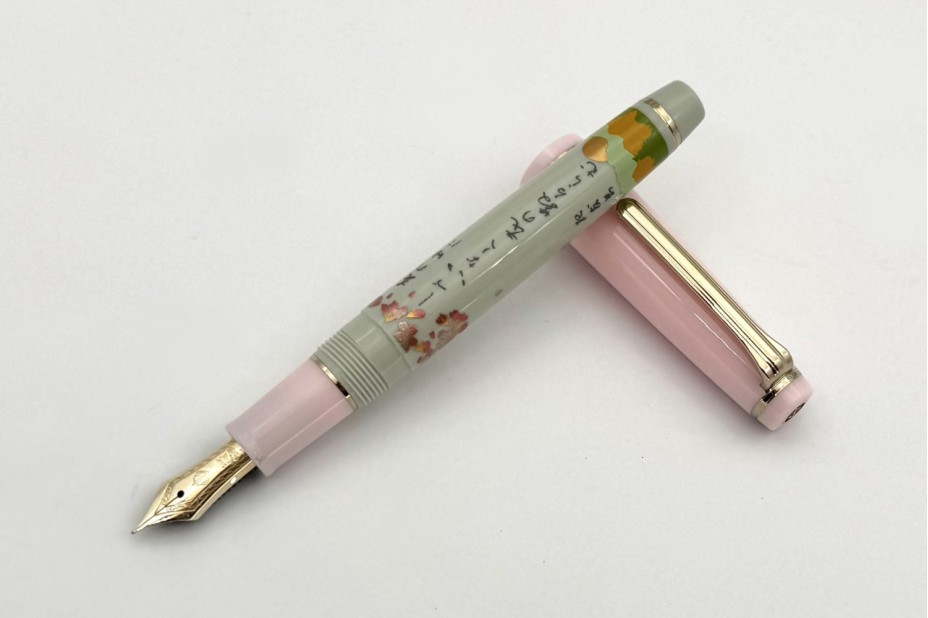 PROFESSIONAL GEAR SLIM